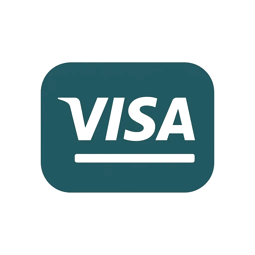 Visa payment icon